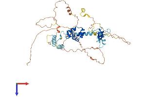 AlphaFold protein structure predicition of Human Recombinant FBXO5 Protein, UniprotID Q9UKT4