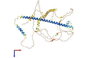 AlphaFold protein structure predicition of Mouse Recombinant Creb3l2 Protein, UniprotID Q8BH52