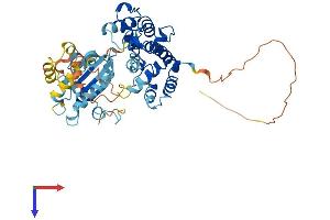 AlphaFold protein structure predicition of Human Recombinant ARHGAP8 Protein, UniprotID P85298