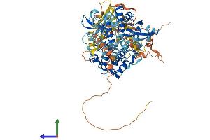 AlphaFold protein structure predicition of Mouse Recombinant Rps6ka4 Protein, UniprotID Q9Z2B9