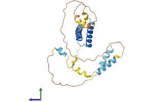 AlphaFold protein structure predicition of Human Recombinant CDCA4 Protein, UniprotID Q9BXL8