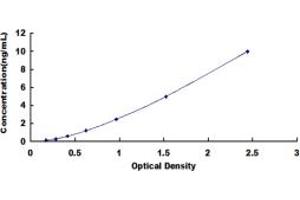 Typical standard curve (MAST2 Kit ELISA)