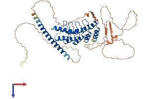 AlphaFold protein structure predicition of Human Recombinant GABPB2 Protein, UniprotID Q8TAK5