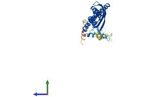 AlphaFold protein structure predicition of Mouse Recombinant Stom Protein, UniprotID P54116