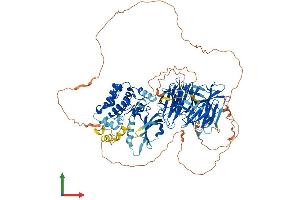 AlphaFold protein structure predicition of Human Recombinant MAP4K3 Protein, UniprotID Q8IVH8