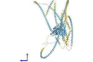 AlphaFold protein structure predicition of Human Recombinant KIF15 Protein, UniprotID Q9NS87