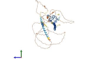 AlphaFold protein structure predicition of Mouse Recombinant Rnf168 Protein, UniprotID Q80XJ2