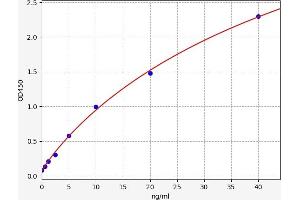 Lactalbumin, alpha- (LALBA) ELISA Kit