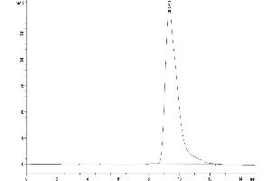 The purity of Mouse Fc gamma RIII is greater than 95 % as determined by SEC-HPLC.