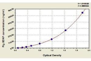 Typical standard curve (BDNF Kit ELISA)
