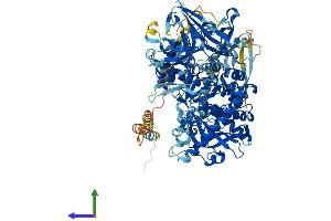 AlphaFold protein structure predicition of Human Recombinant DIS3L Protein, UniprotID Q8TF46