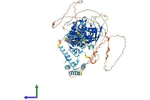 AlphaFold protein structure predicition of Mouse Recombinant Stat2 Protein, UniprotID Q9WVL2