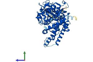 AlphaFold protein structure predicition of Mouse Recombinant Cyp2s1 Protein, UniprotID Q9DBX6