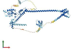AlphaFold protein structure predicition of Mouse Recombinant Dnajc2 Protein, UniprotID P54103