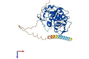 AlphaFold protein structure predicition of Mouse Recombinant St8sia2 Protein, UniprotID O35696