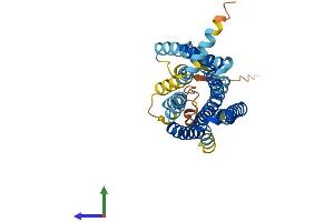 AlphaFold protein structure predicition of Human Recombinant OR2W3 Protein, UniprotID Q7Z3T1