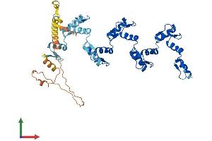 AlphaFold protein structure predicition of Human Recombinant ZNF436 Protein, UniprotID Q9C0F3