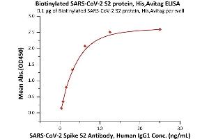 Immobilized Biotinylated SARS-CoV-2 S2 protein, His,Avitag (ABIN6973258) at 1 μg/mL (100 μL/well) on streptavidin  (0.