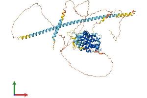 AlphaFold protein structure predicition of Human Recombinant CDK11A Protein, UniprotID Q9UQ88