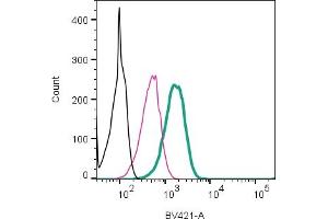 Cell surface detection of P2X7 Receptor by direct flow cytometry in live intact mouse BV2 microglia cells: + Rabbit IgG isotype control-mFluor™ Violet 450 (ABIN7582047).