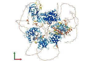 AlphaFold protein structure predicition of Human Recombinant ARAP3 Protein, UniprotID Q8WWN8