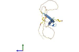 AlphaFold protein structure predicition of Human Recombinant OLIG3 Protein, UniprotID Q7RTU3