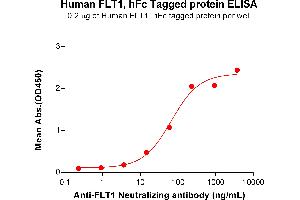 ELISA plate pre-coated by 2 μg/mL (100 μL/well) Human Protein, hFc Tag (ABIN6964344, ABIN7042795 and ABIN7042796) can bind Anti- Neutralizing antibody ABIN7478023 and ABIN7490992 in a linear range of 3.