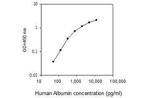 ELISA image for Albumin (ALB) ELISA Kit (ABIN2702812)