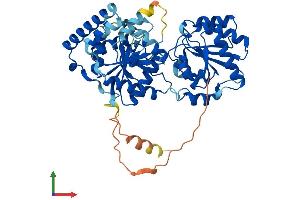 AlphaFold protein structure predicition of Mouse Recombinant Piga Protein, UniprotID Q64323