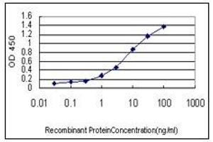 ELISA image for anti-Hemoglobin beta (HBB) (AA 38-148) antibody (ABIN614613)