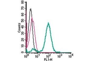Cell surface detection of xCT/SLC7A11 by indirect flow cytometry in live intact human THP-1 monocytic leukemia cells: (black line) Cells.