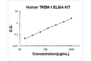 Typical Standard Curve