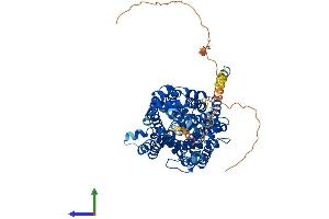 AlphaFold protein structure predicition of Human Recombinant SLC6A9 Protein, UniprotID P48067