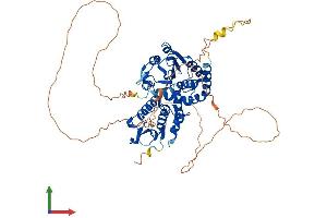 AlphaFold protein structure predicition of Human Recombinant CDC14A Protein, UniprotID Q9UNH5