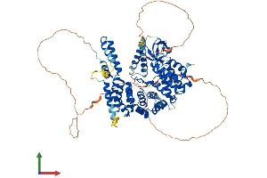AlphaFold protein structure predicition of Mouse Recombinant Nckipsd Protein, UniprotID Q9ESJ4