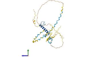 AlphaFold protein structure predicition of Human Recombinant CDKN1C Protein, UniprotID P49918