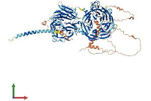 AlphaFold protein structure predicition of Mouse Recombinant Stxbp5 Protein, UniprotID Q8K400