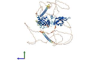 AlphaFold protein structure predicition of Human Recombinant CLOCK Protein, UniprotID O15516