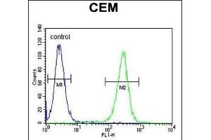 MSI1 Antibody (N-term) (ABIN655905 and ABIN2845305) flow cytometric analysis of CEM cells (right histogram) compared to a negative control cell (left histogram). (MSI1 anticorps  (N-Term))