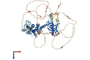 AlphaFold protein structure predicition of Human Recombinant PLEKHG6 Protein, UniprotID Q3KR16