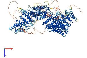 AlphaFold protein structure predicition of Human Recombinant HEATR6 Protein, UniprotID Q6AI08
