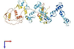 AlphaFold protein structure predicition of Human Recombinant ZNF695 Protein, UniprotID Q8IW36