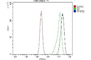 Flow Cytometry analysis of CACO-2 cells using anti-PFKFB2 antibody (ABIN7601627). (PFKFB2 anticorps  (AA 4-505))
