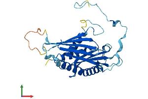 AlphaFold protein structure predicition of Mouse Recombinant Exosc6 Protein, UniprotID Q8BTW3