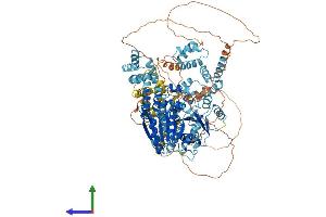 AlphaFold protein structure predicition of Human Recombinant SMARCAD1 Protein, UniprotID Q9H4L7