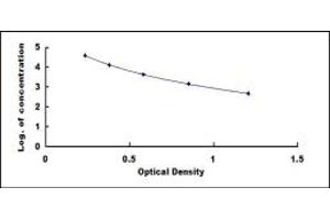 Typical standard curve (Vitamin C Kit ELISA)