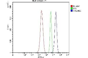 Flow Cytometry analysis of ANA-1 cells using anti-TMEM65 antibody (ABIN7603101). (TMEM65 anticorps  (Middle Region))
