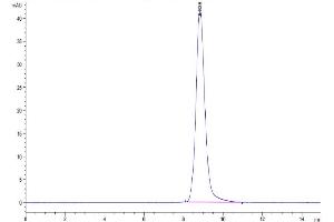The purity of Cynomolgus NKG2C&CD94 is greater than 95 % as determined by SEC-HPLC.