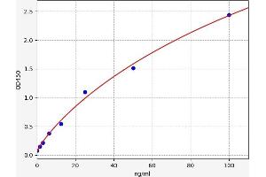 Tenascin XB (TNXB) ELISA Kit