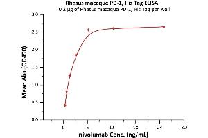 Immobilized Rhesus macaque PD-1, His Tag (ABIN6992382) at 2 μg/mL (100 μL/well) can bind nivolumab with a linear range of 0.